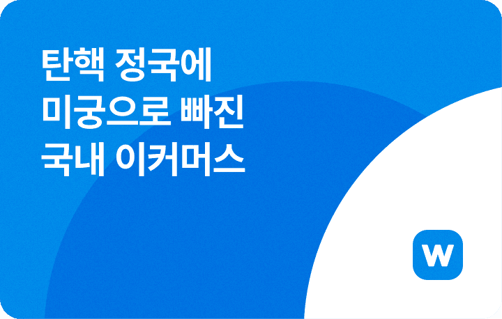 탄핵 정국 경제 이커머스