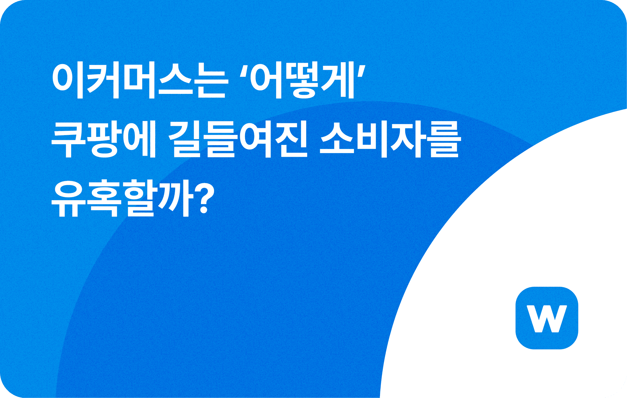 1월 2주차 뉴스레터