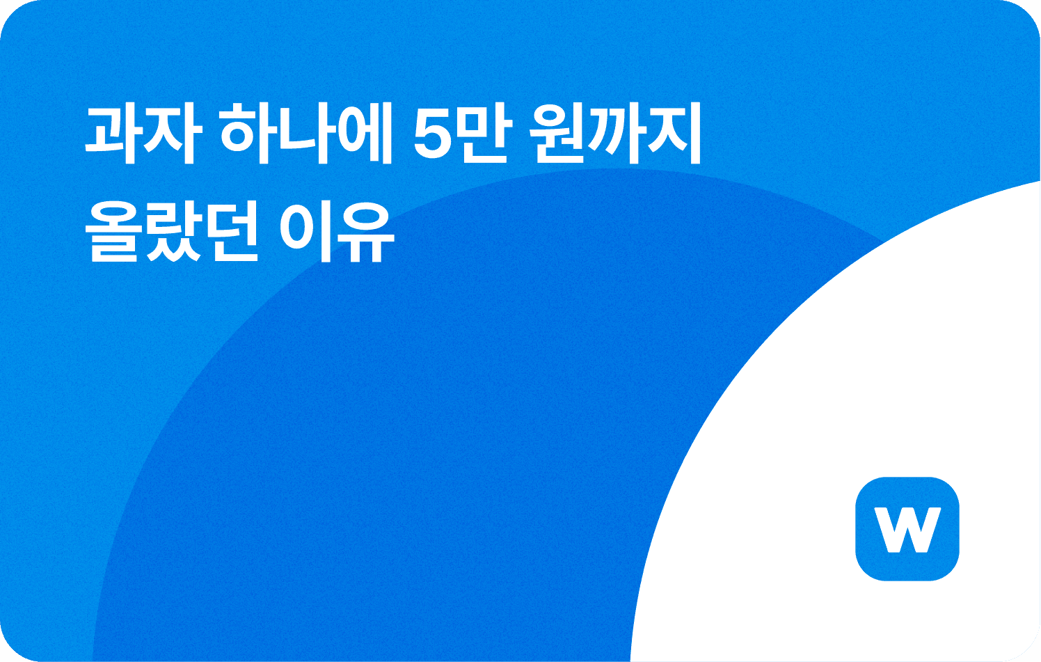 💡 과자 하나에 5만 원까지 올랐던 이유